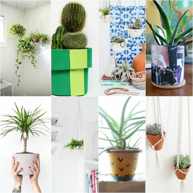 diy planters